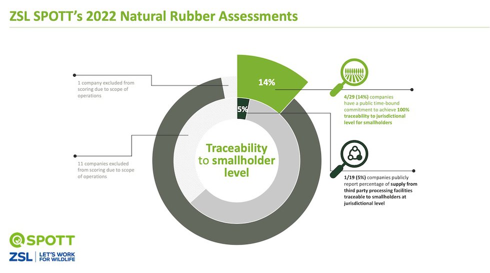 Research reveals gaps in sustainability reporting for the world's biggest tyre brands