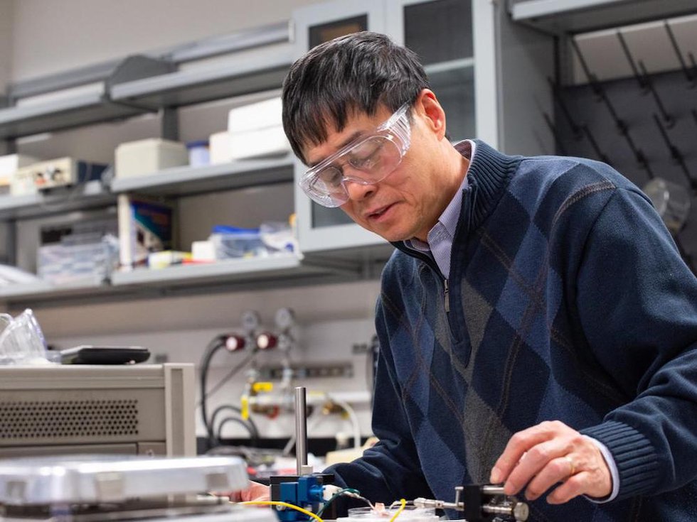 Flex education: Researchers enhance electromechanical behaviour in a flexible polymer