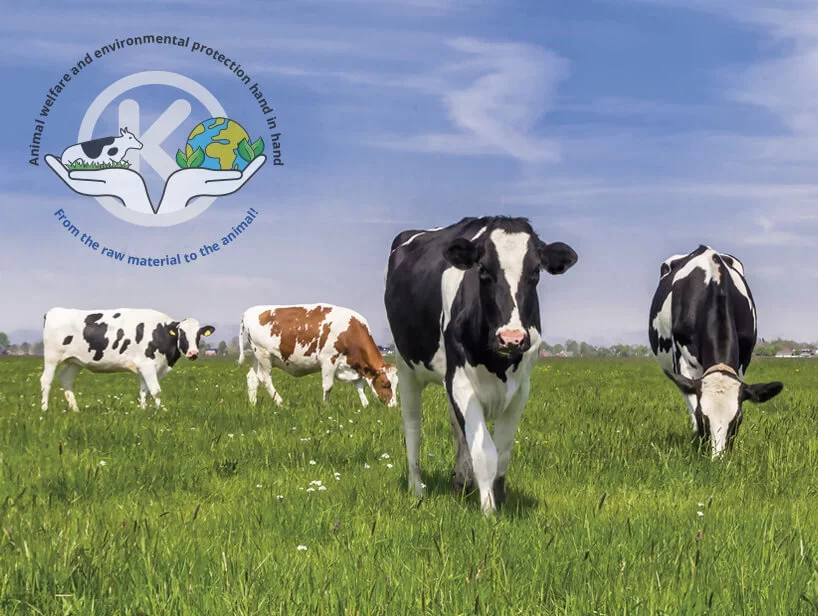 kraiburg-company-environmental-contribution-animal-welfare-environmental-protection-cow-pasture.jpg.webp